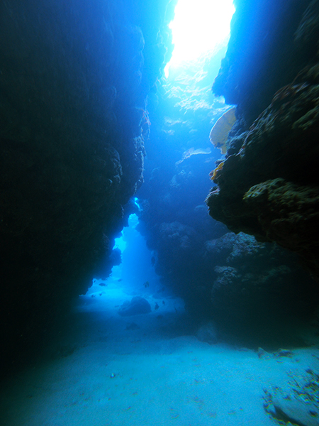 奄美大島　体験ダイビング洞窟