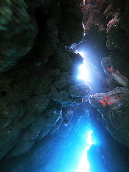 奄美大島　体験ダイビング　洞窟