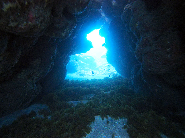 体験ダイビング　洞窟