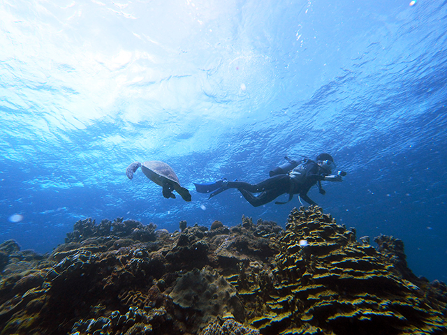 珊瑚茶屋　体験ダイビング
