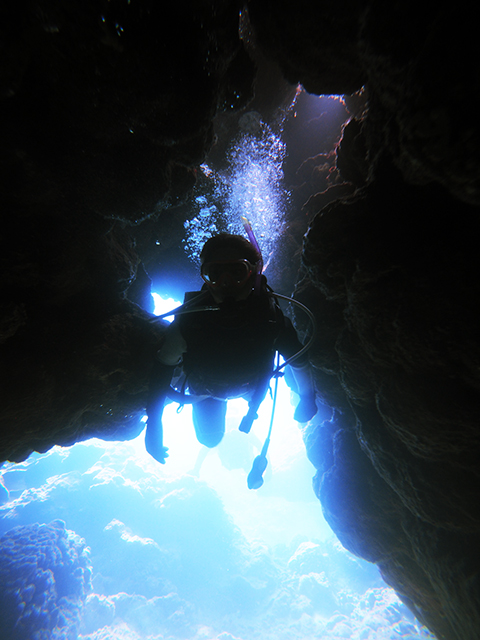 珊瑚茶屋体験ダイビング　洞窟
