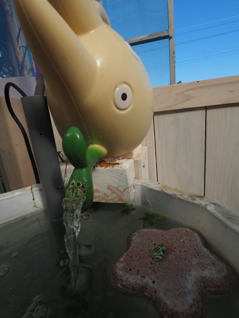 トトロのジョーロ