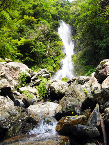 奄美大島　フナンギョの滝