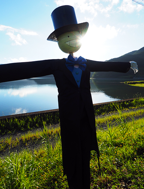 ハウル かかしのカブ