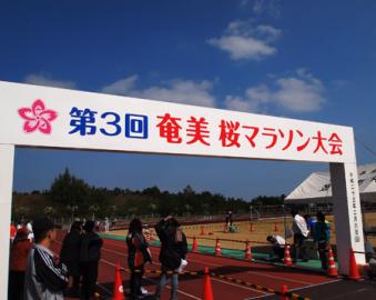 奄美大島　桜マラソン